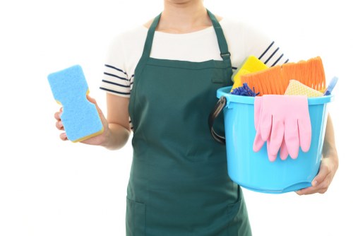 Professional upholstery cleaning for a sofa during move out cleaning