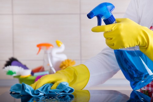 Professional rug cleaning for a move-out in a residential property