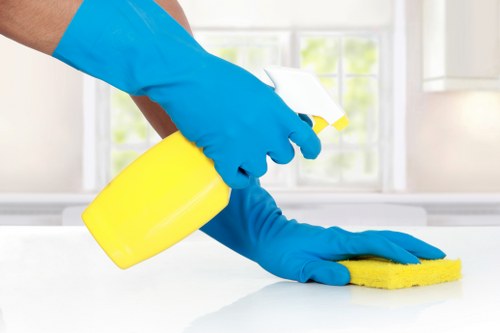 Local one-off cleaning service for move out properties