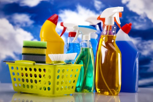 Detailed bathroom cleaning during a move out service