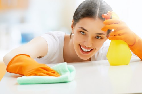 Professional end of tenancy cleaning service in a local rental property