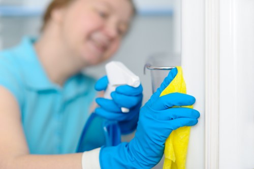 Local move out hard floor care for residential and commercial properties