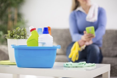 Protected Move Out Cleaning payments screen with multiple accepted methods