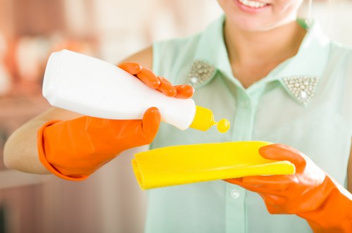 Professional move out cleaning in a bathroom with descaling and sanitising