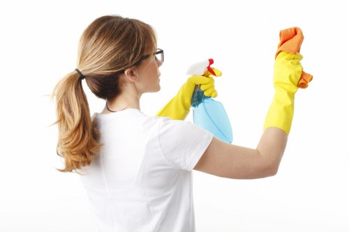 Inclusive online access for move out cleaning services