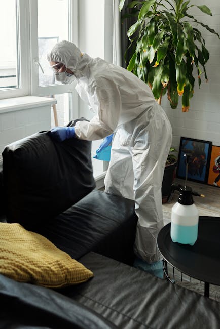 A person dressed in full protective gear, including a white hazmat suit, face mask, goggles, and blue gloves, performing surface cleaning on a black leather sofa with a cloth near a large window in a